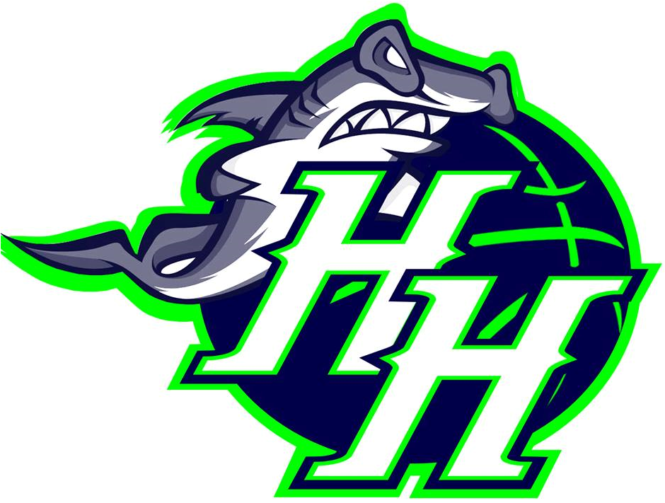 Hawaii Hammerheads 2016-Pres Primary Logo iron on transfers for clothing
